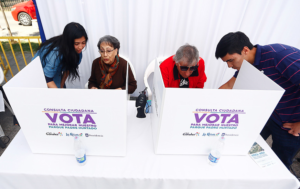 Vecinos deciden futuro de Parque Padre Hurtado y de su polémica laguna artificial