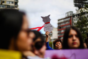 Madre de menor que torturó a gata Ema asegura que padece 