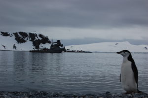Escuela en la Antártica cerró por deterioro de sus instalaciones tras 33 años