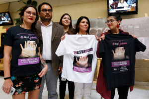 Ley Gabriela fue despachada para ser votada por la Sala de la Cámara de Diputados