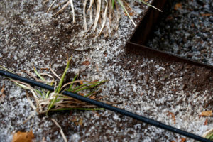 Fedefruta calcula en US$200 millones las pérdidas por las granizadas