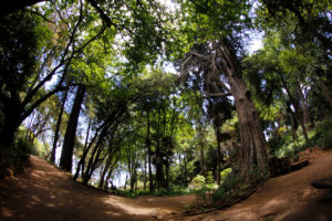 Gobierno busca declarar santuario natural 44 mil hectáreas en Cochiguaz