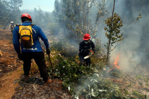 Comuna de Quilpué sigue en alerta roja por incendios forestales