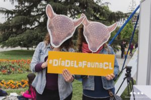 Se realizará la quinta edición del Día de la Fauna Chilena