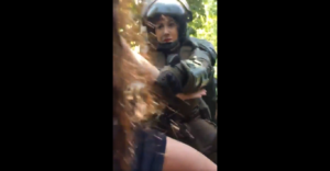 VIDEO | Alumnas del Carmela Carvajal denuncian violento trato de Carabineros en el Parque Forestal