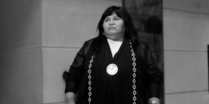 Mapuche y allendista: la ruta y los ejes de Emilia Nuyado, la interpeladora de Chadwick