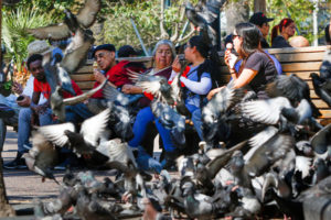 Más de 2 millones de pensionados recibirán aguinaldo navideño de $21.693