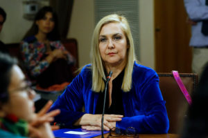 VIDEO | Pamela Jiles se tomó un minuto en la comisión de DD.HH. para pedir cárcel a Urrutia y Camila Flores