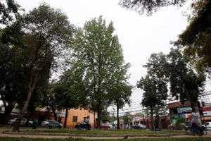 Desarrollo inmobiliario y áreas verdes: ¿dos dimensiones incompatibles?