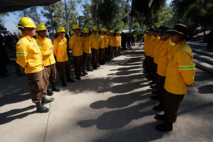 Declaran alerta preventiva en Región Metropolitana por riesgo de incendios forestales