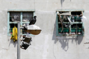 Cárceles en Chile: 39% de los reos dice haber sufrido violencia física por parte de funcionarios