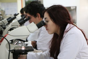 Educación en ciencia: conocimiento para el futuro