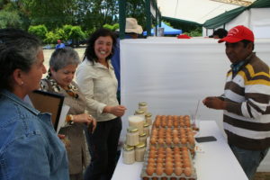 De proyectos sociales a medioambientales: los ganadores del Fondo Concursable CMPC 2018