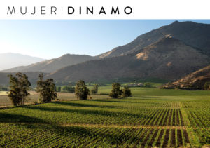 Pirque: sabores, caballos, juegos y desconexión