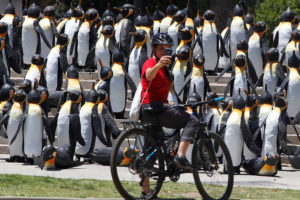 Mil pingüinos de material reciclado sorprenden en Plaza Italia