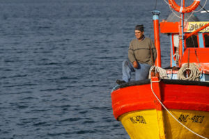 Nueva fuga de salmones en centro de cultivo de Chiloé con 129.000 peces