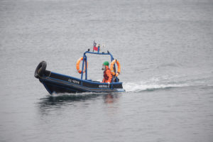 Sernapesca denunció a Ventisqueros ante SMA por fuga de salmones en Quemchi