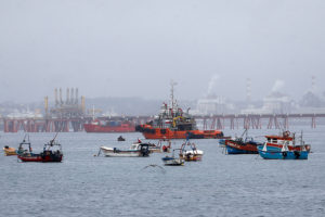 Industriales acusan al Gobierno de ceder a presiones y califican a Ley de la Jibia como 