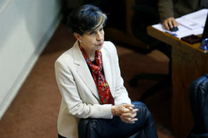 Presidenta de Comisión de Medio Ambiente cita a ministro Ward por reducción de Parque Patagonia