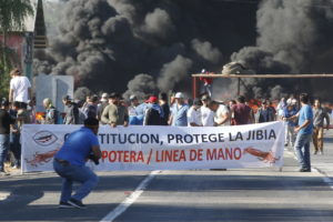 Pescadores artesanales por Ley de la Jibia: 