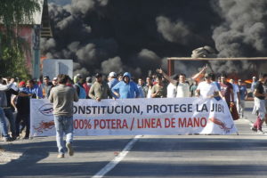 La Moneda vetó Ley de la Jibia para 