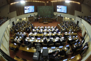 Al Congreso se lo están comiendo por dentro: realizan trabajos para erradicar plaga de termitas