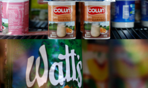 Watt's tendrá acceso a la memoria de Colún tras resolución del Consejo de Transparencia