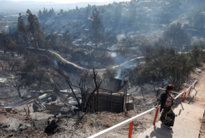 VIDEO | Jóvenes se grabaron provocando incendio en Curauma para subirlo a Facebook