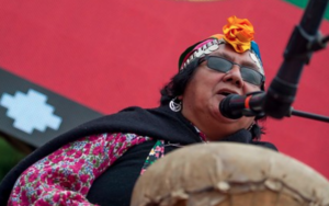 Mapuche podrán obtener acreditación de calidad indígena a través de certificado online