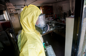 Muere mujer de Palena contagiada por virus Hanta