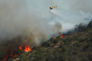 Más de 200 hectáreas ha consumido incendio forestal en Lo Vásquez