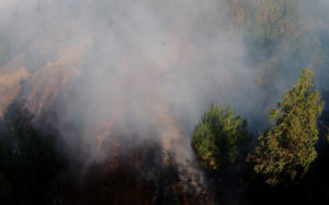 Gobierno pide a la ciudadanía mayor apoyo para prevención de incendios