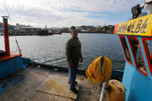 Autorizan la pesca del salmón chinook en tramo de 6,8 kms del río Toltén