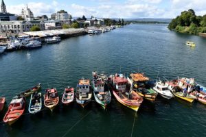 Pescadores dieron plazo hasta el miércoles para que ley de la jibia se promulgue