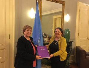 Directora del INDH presenta informe a la ONU sobre situación de los DD.HH. en Chile