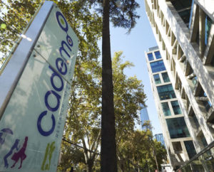 Cadem se adjudicó el mayor monto de contrataciones con el Estado en 2018