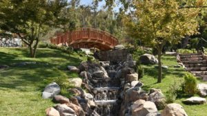 Parque Metropolitano sobre el Jardín Japonés: 