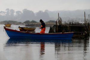 Sernapesca declara emergencia en lago Yelcho por plaga de dañiña microalga