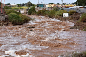 Gobierno irá en ayuda de 500 agricultores nortinos por la catástrofe