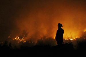 Conaf reportó 108 incendios forestales a nivel nacional