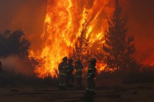 Conaf reporta 45 incendios activos en todo el país