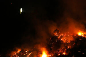 Gobierno confirma evacuación de Zoológico Nacional por incendio en cerro San Cristóbal