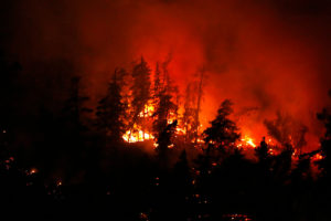 VIDEOS+FOTOS | Incendio forestal afecta a ladera de cerro San Cristóbal