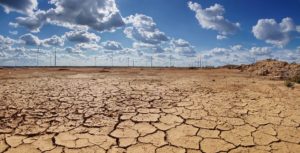 Más allá de una narrativa: políticas públicas para enfrentar el cambio climático