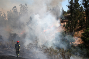 Onemi declara alerta roja para Valdivia, Mariquina, Panguipulli y La Unión