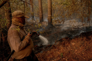 Incendios forestales: ya van más de 40 mil hectáreas quemadas