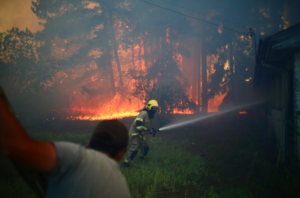 Más de 2.500 hectáreas lleva consumido incendio forestal en región del Biobío