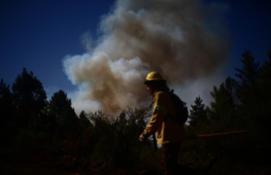 Detienen a cinco individuos por provocar incendio forestal en Ancud