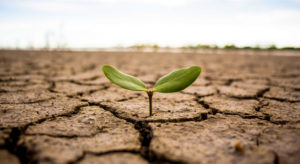 ¿Incide el cambio climático en las enfermedades?