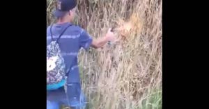 Adolescente de 17 años será formalizado como autor de incendio en Coronel